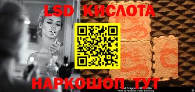 СК Абакан