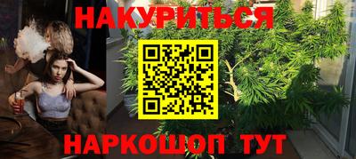 СК Абакан