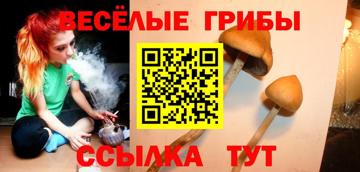 Псилоцибиновые грибы Psilocybe Азнакаево